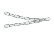 Long link chain R-7890
