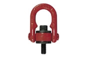 ADA Hoist ring